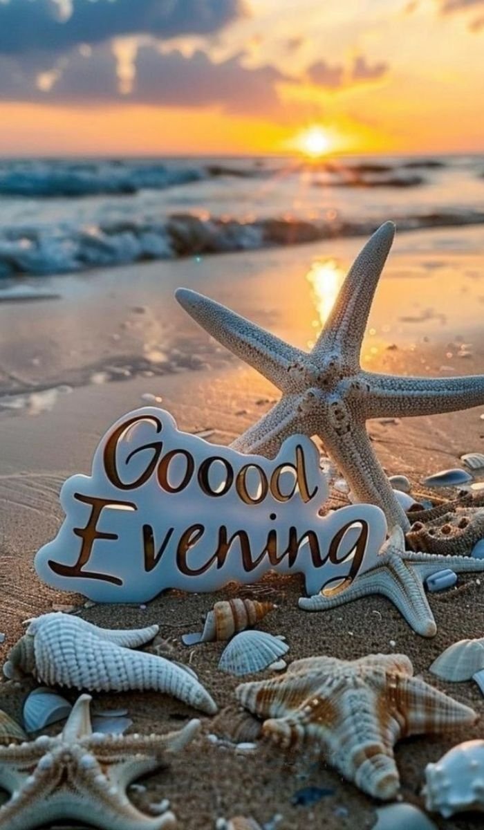Good Evening Images Aesthetic Edition