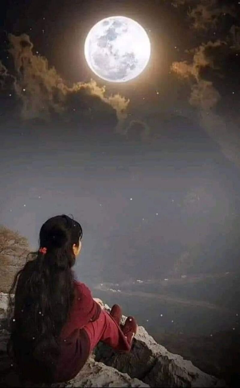 alone dp 2