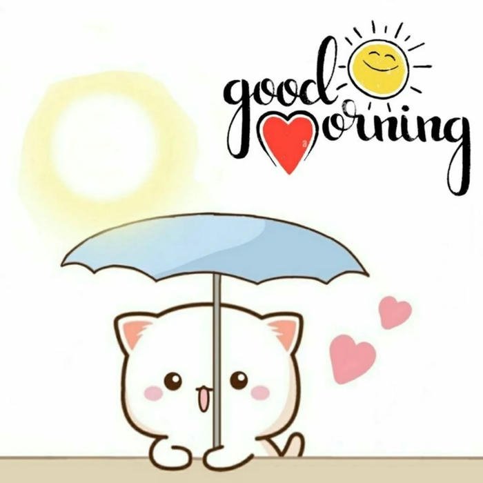 cute insta dp 26