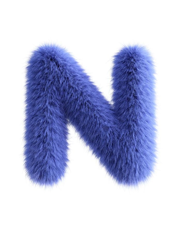 n name dp cute